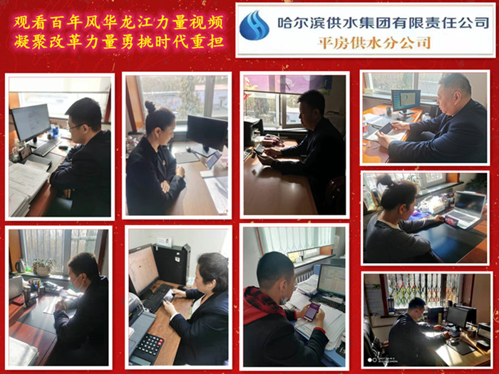 平房供水分公司组织各党小组开展《百年风华·龙江力量》学习