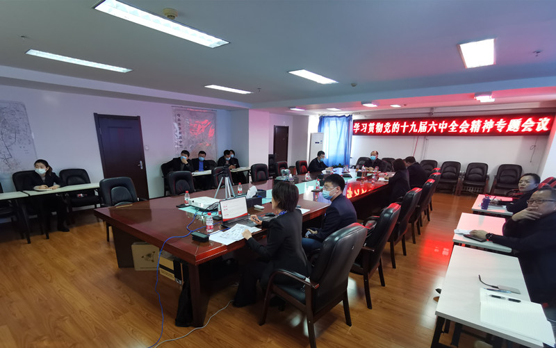 集团公司召开学习贯彻党的十九届六中全会精神专题视频会议